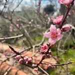 Podere Acquarello Апартаменты *