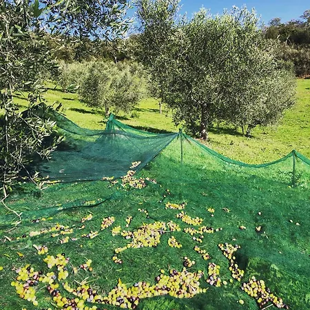 Podere Acquarello * Massa Marittima