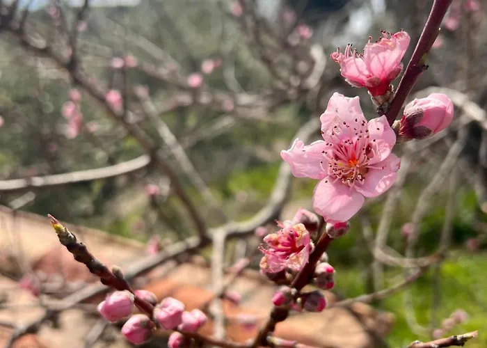 Podere Acquarello Daire *