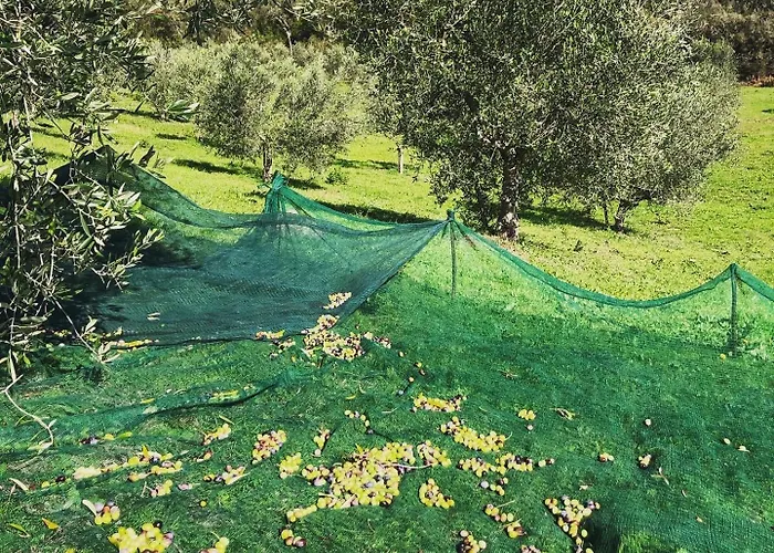 Podere Acquarello * Massa Marittima