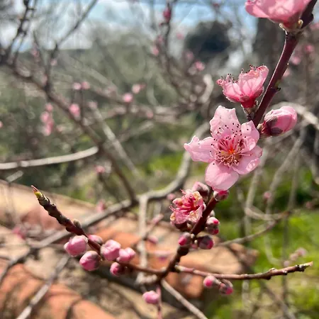 Podere Acquarello Διαμέρισμα *